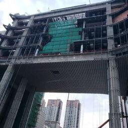 徐州金鹰爆料最新消息,揭秘幕后热点事件详情  第2张